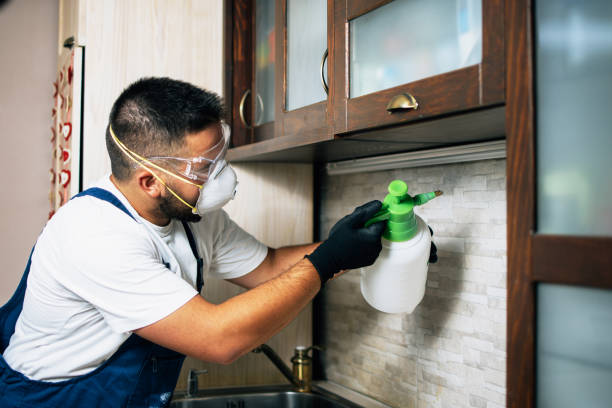 Best Bed Bug Extermination  in Cresson, TX