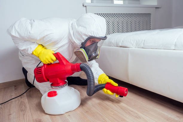 Flea Control Services in Cresson, TX