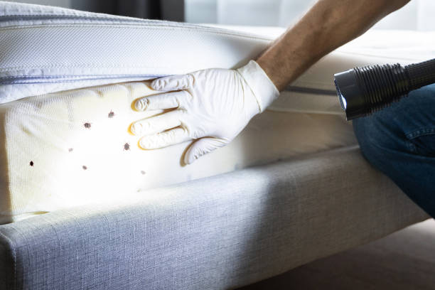 Best Best Pest Control Companies  in Cresson, TX