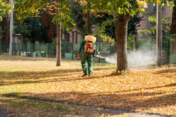 Best Wasp Removal Services  in Cresson, TX