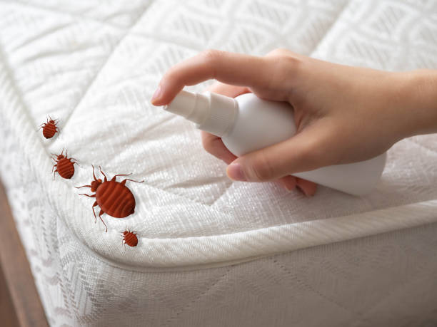 Best Affordable Pest Control Services  in Cresson, TX