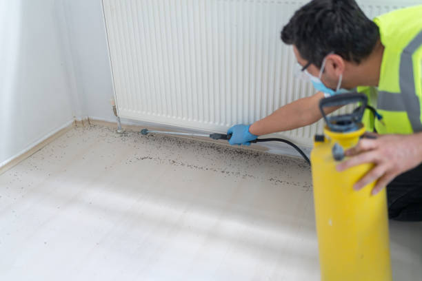 Best Termite Control Services  in Cresson, TX