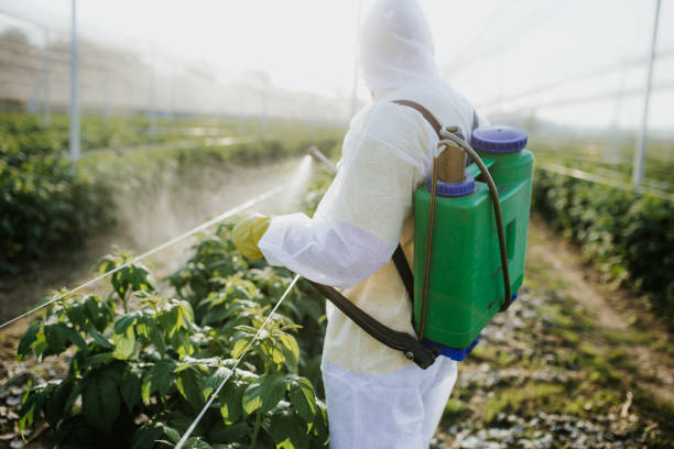  Cresson, TX Pest Control Pros